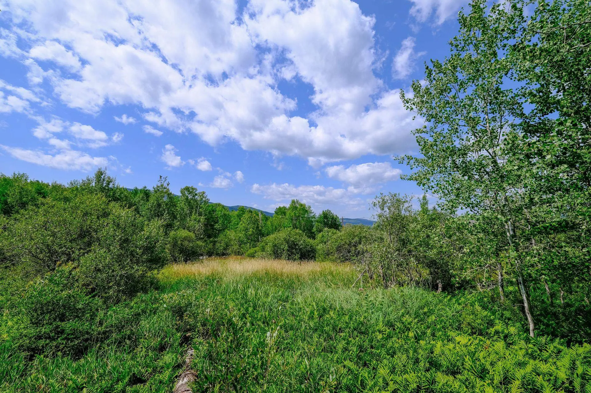 00 Town Farm Road Ludlow VT 05149