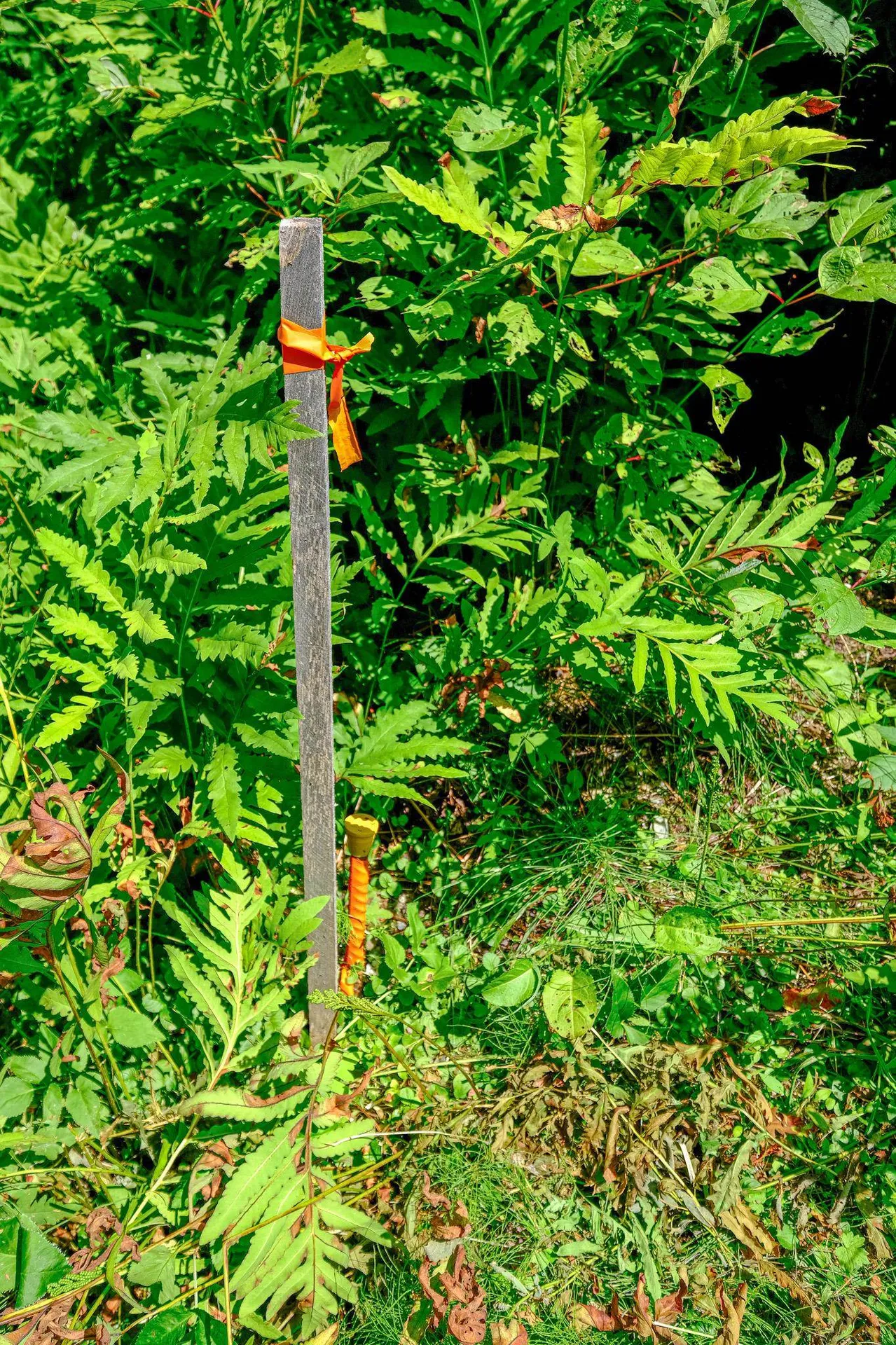 00 Town Farm Road Ludlow VT 05149