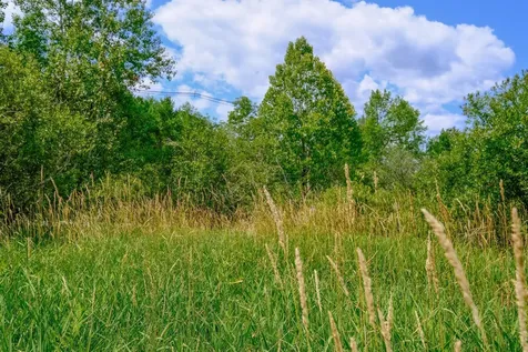 00 Town Farm Road Ludlow VT 05149