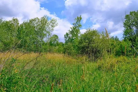 00 Town Farm Road Ludlow VT 05149