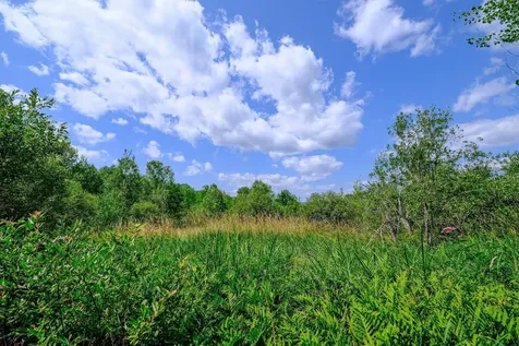 00 Town Farm Road Ludlow VT 05149