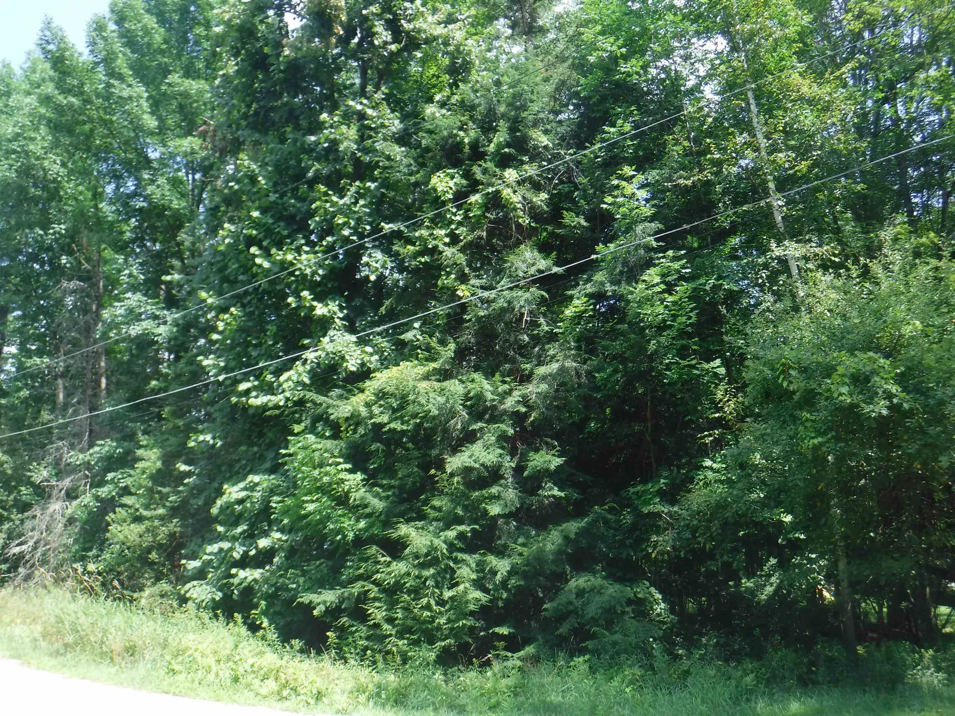 000 Amherst Lane Haverhill NH 03785