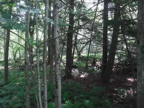 000 Amherst Lane Haverhill NH 03785