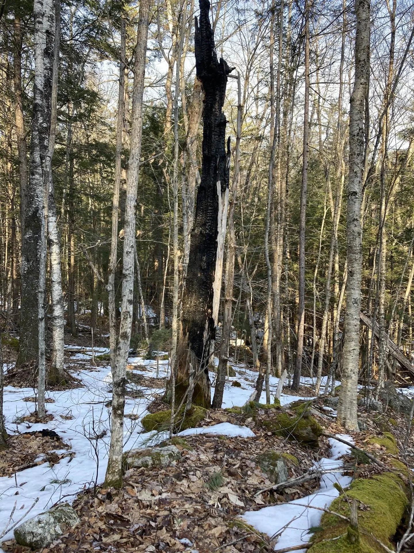 214-001 Mill Brook Road Thornton NH 03285