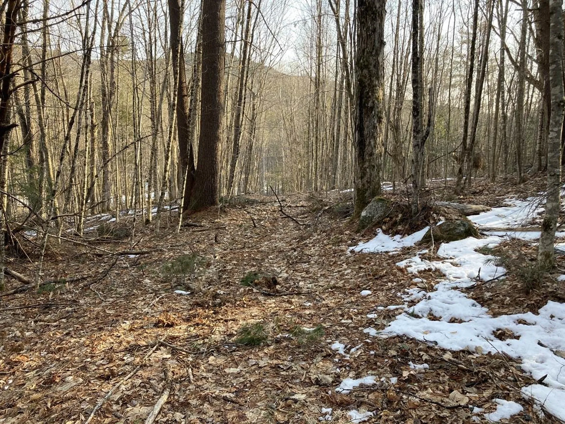 214-001 Mill Brook Road Thornton NH 03285