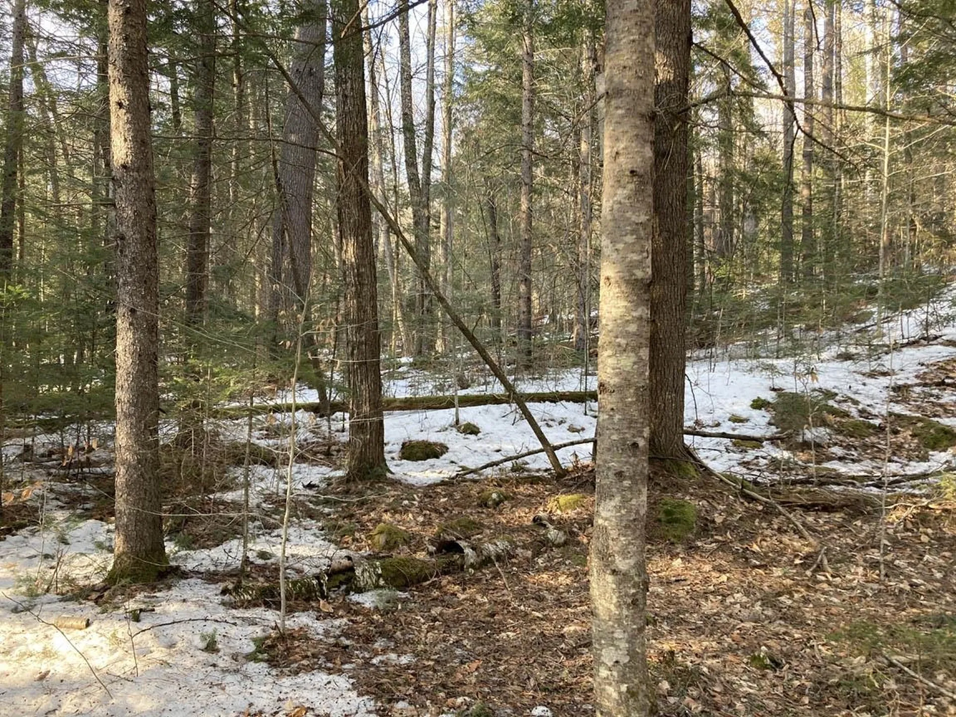 214-001 Mill Brook Road Thornton NH 03285