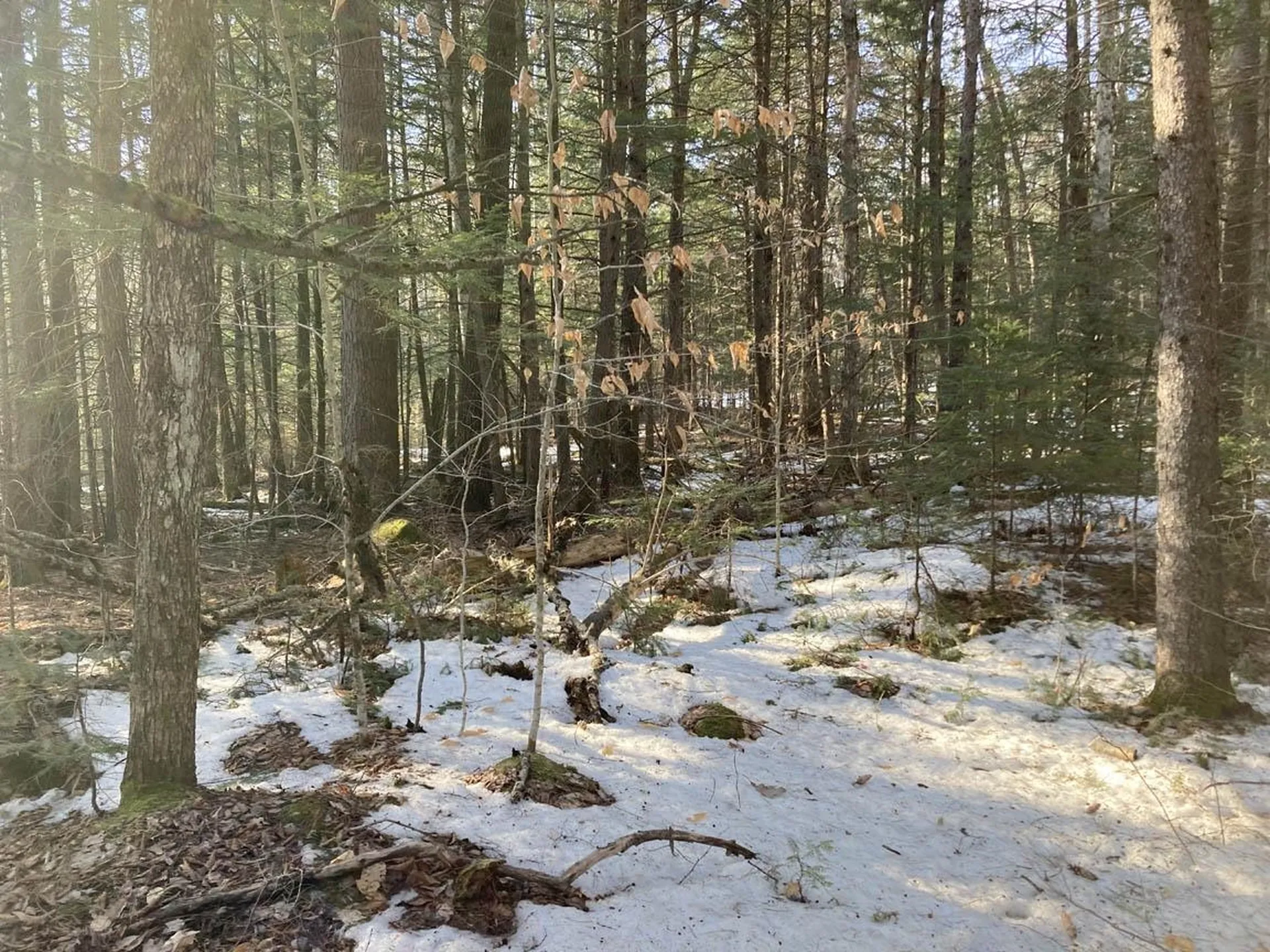 214-001 Mill Brook Road Thornton NH 03285