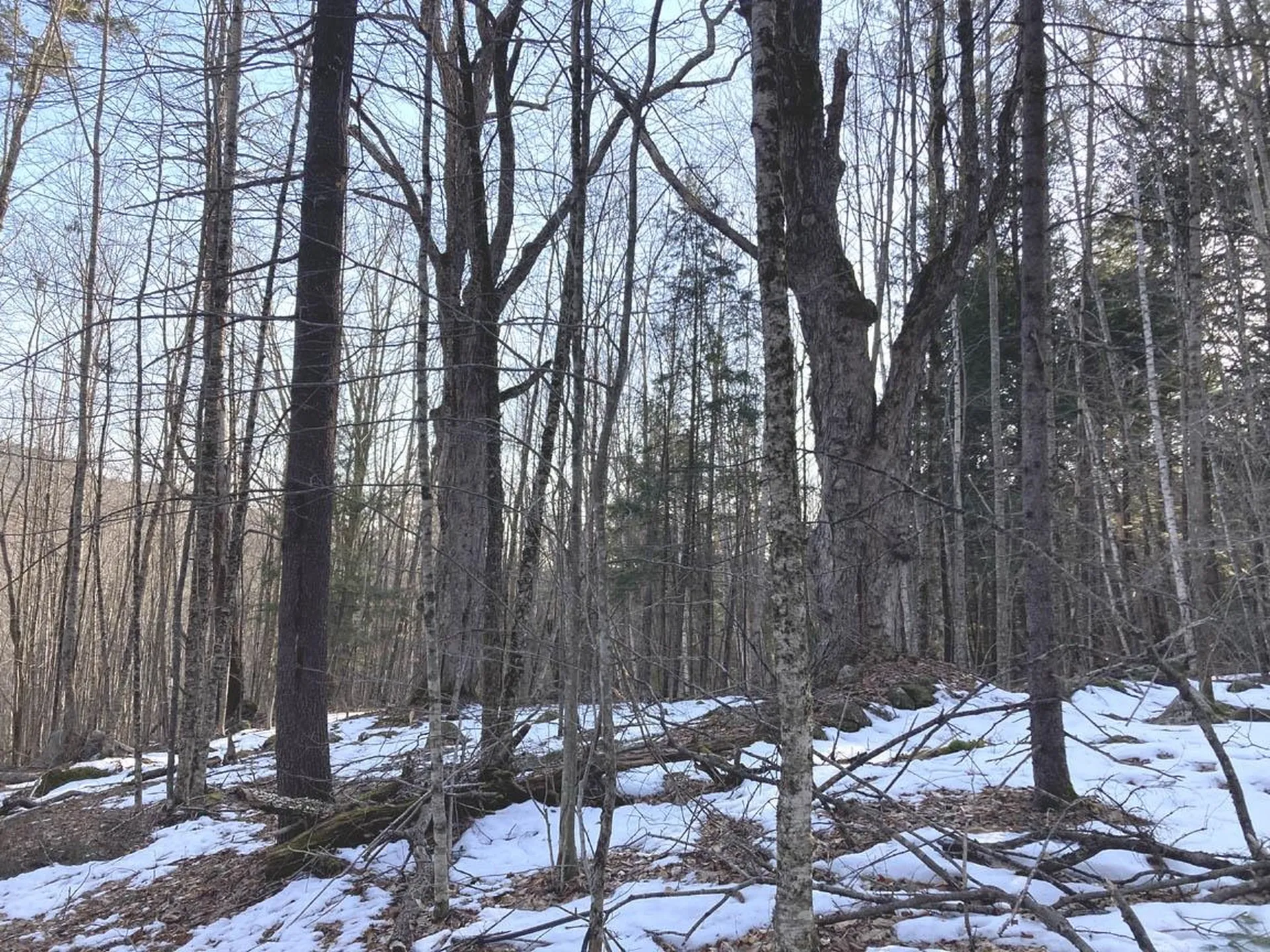 214-001 Mill Brook Road Thornton NH 03285