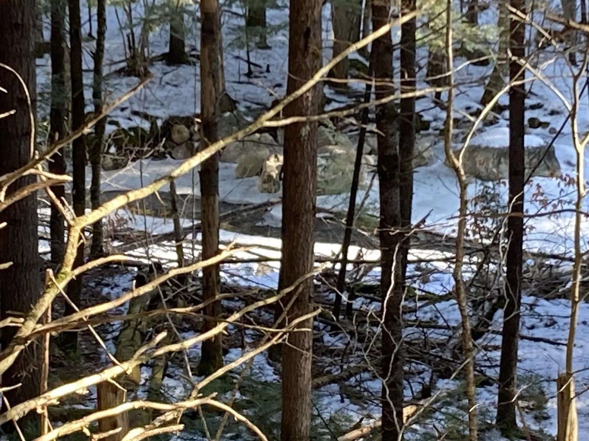 214-010 Mill Brook Road Thornton NH 03285