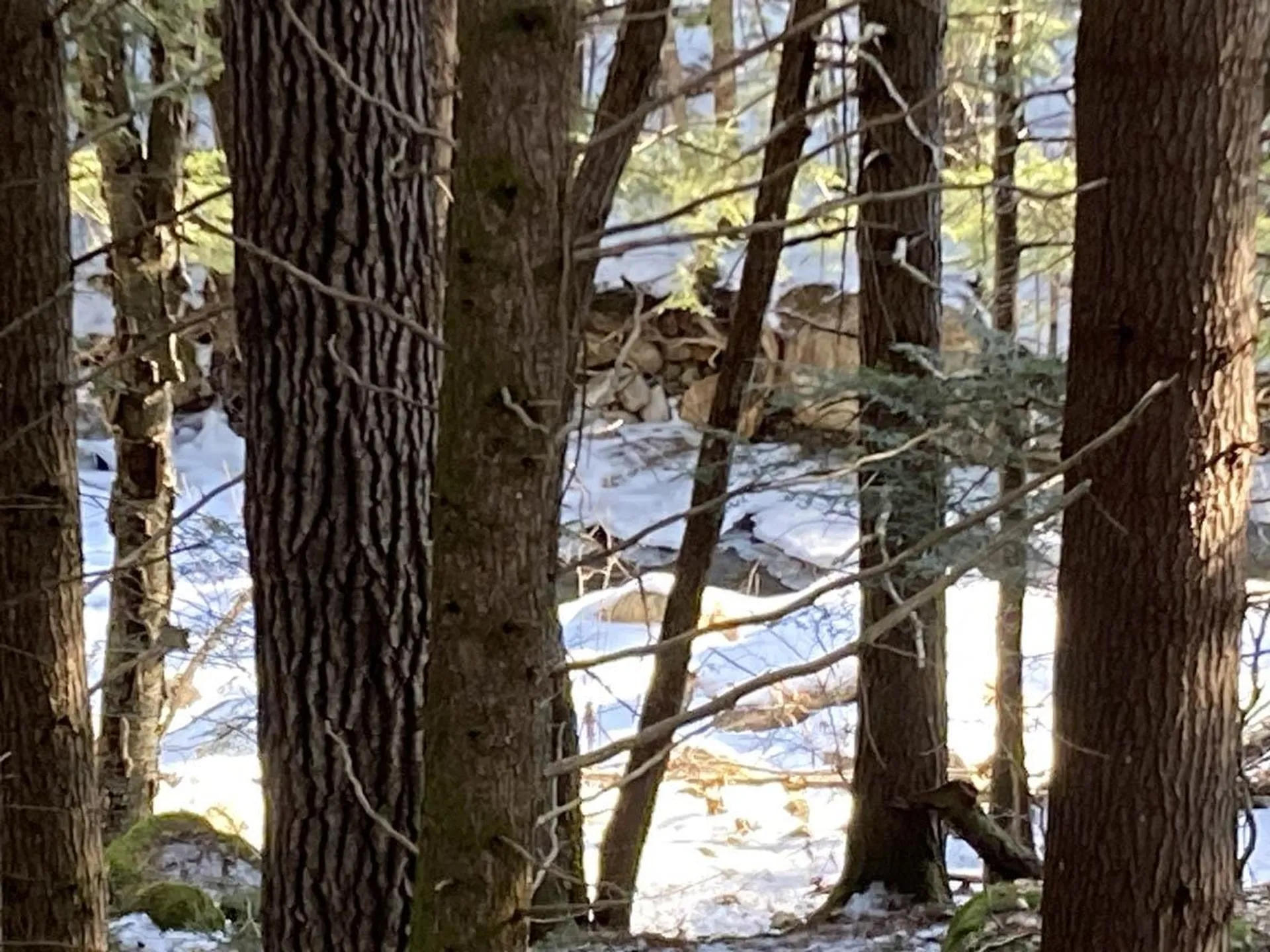 214-010 Mill Brook Road Thornton NH 03285