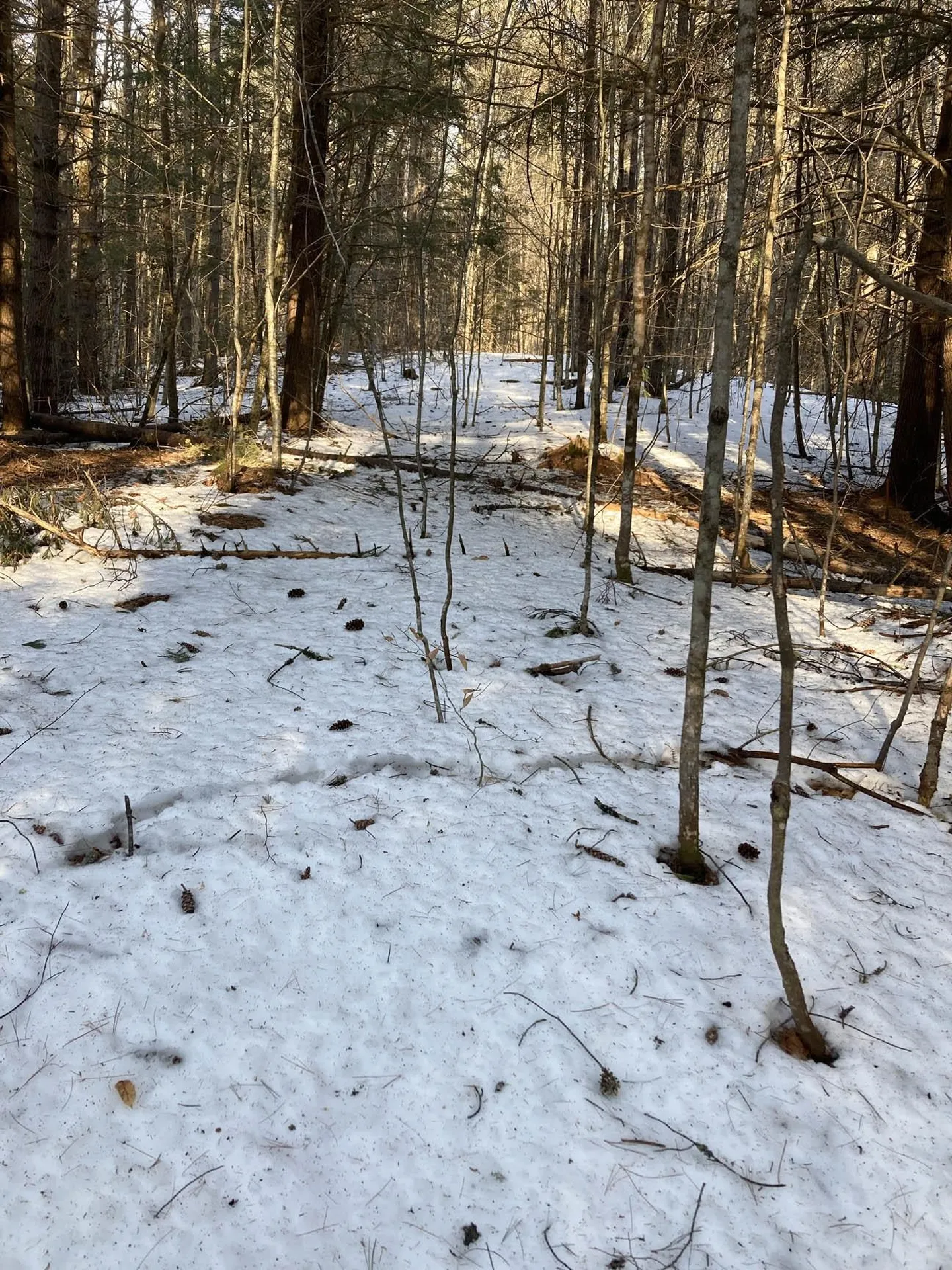 214-010 Mill Brook Road Thornton NH 03285