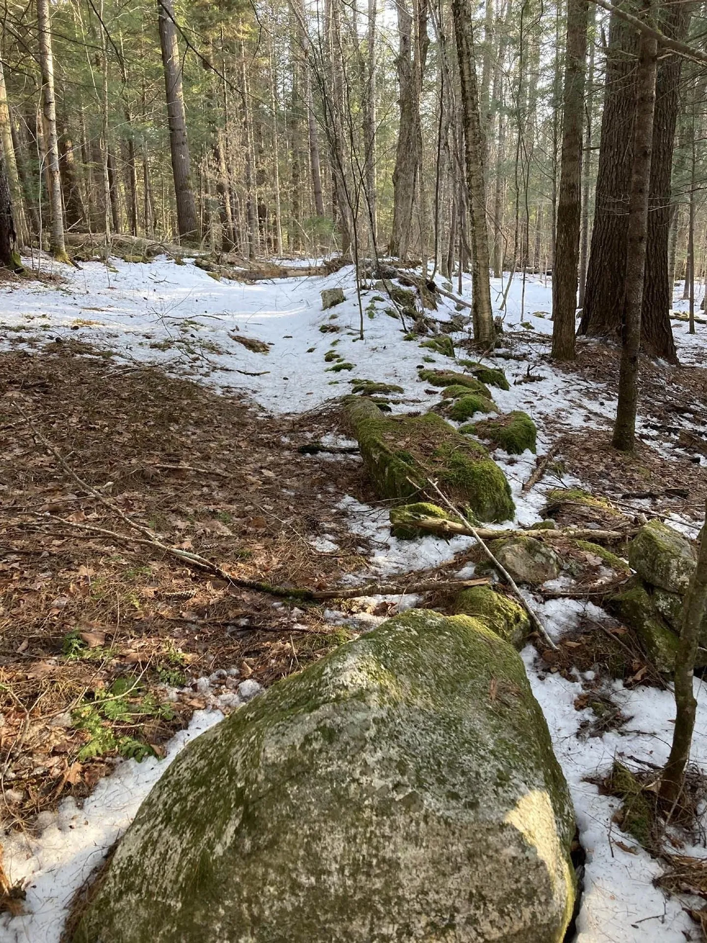 214-010 Mill Brook Road Thornton NH 03285