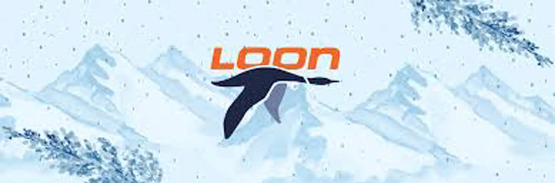 214-010 Mill Brook Road Thornton NH 03285