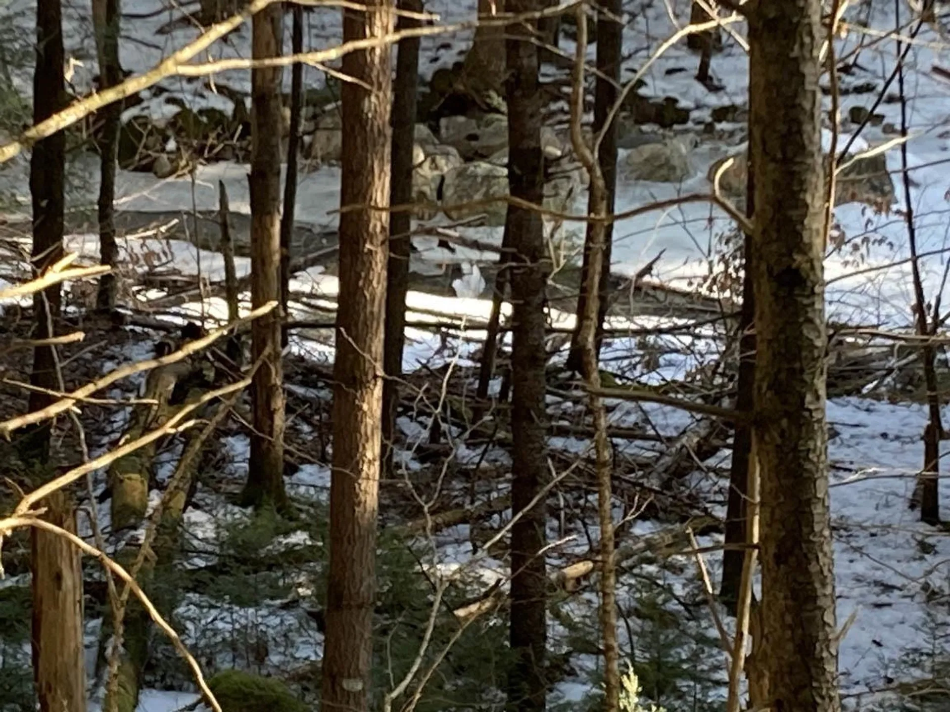 214-010 Mill Brook Road Thornton NH 03285