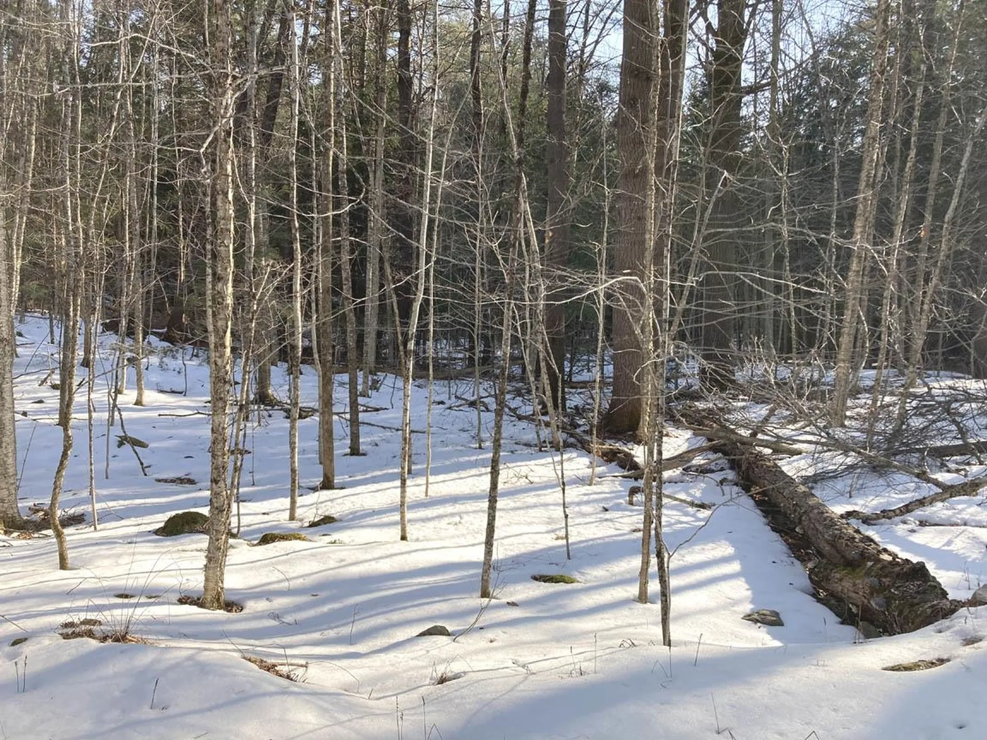 214-010 Mill Brook Road Thornton NH 03285