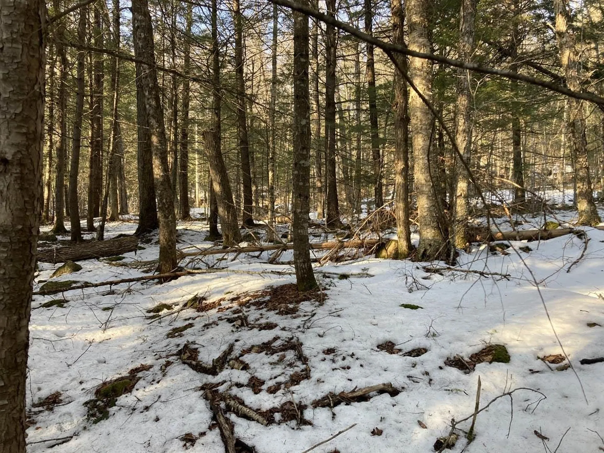 214-010 Mill Brook Road Thornton NH 03285