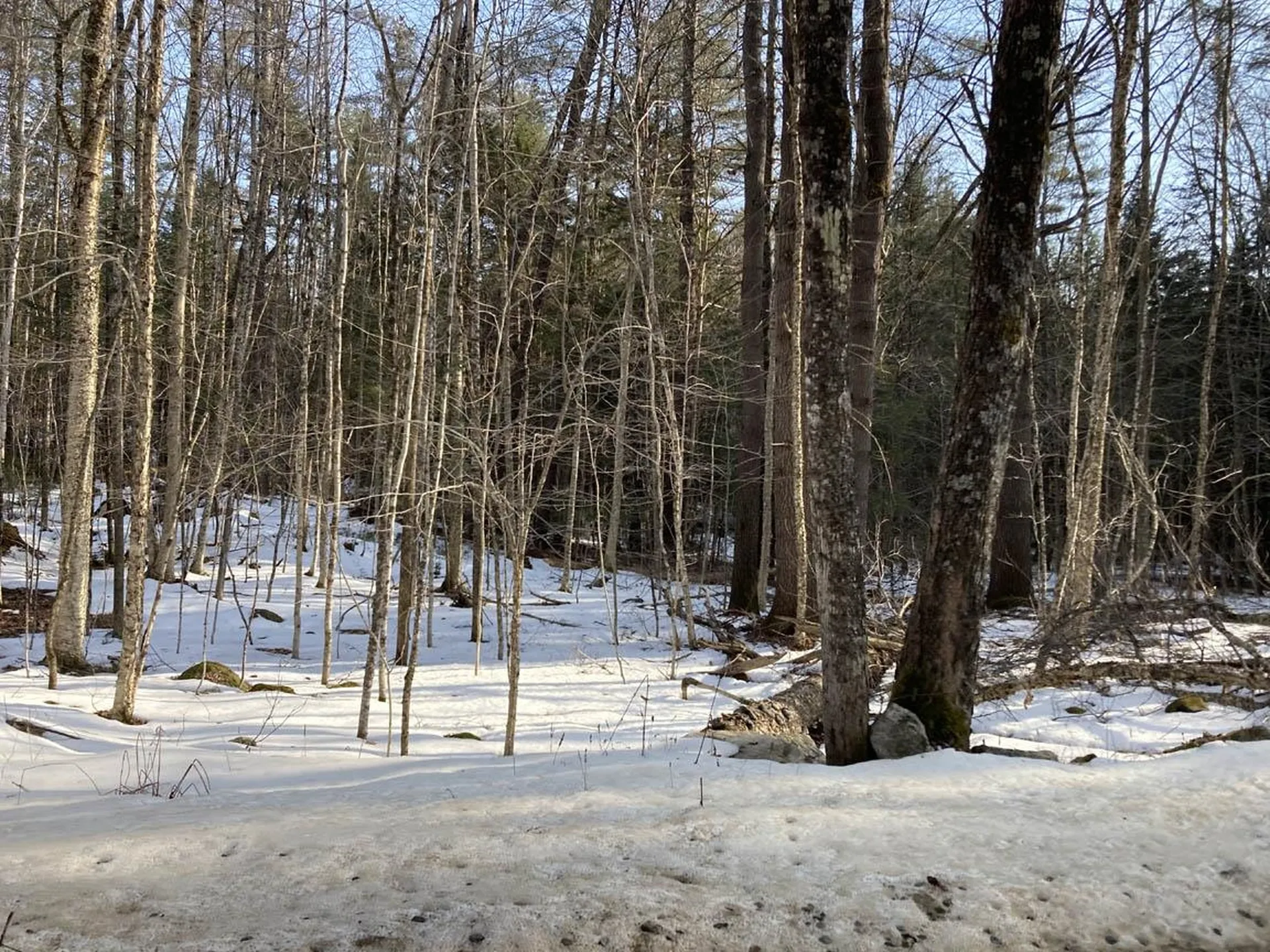 214-010 Mill Brook Road Thornton NH 03285