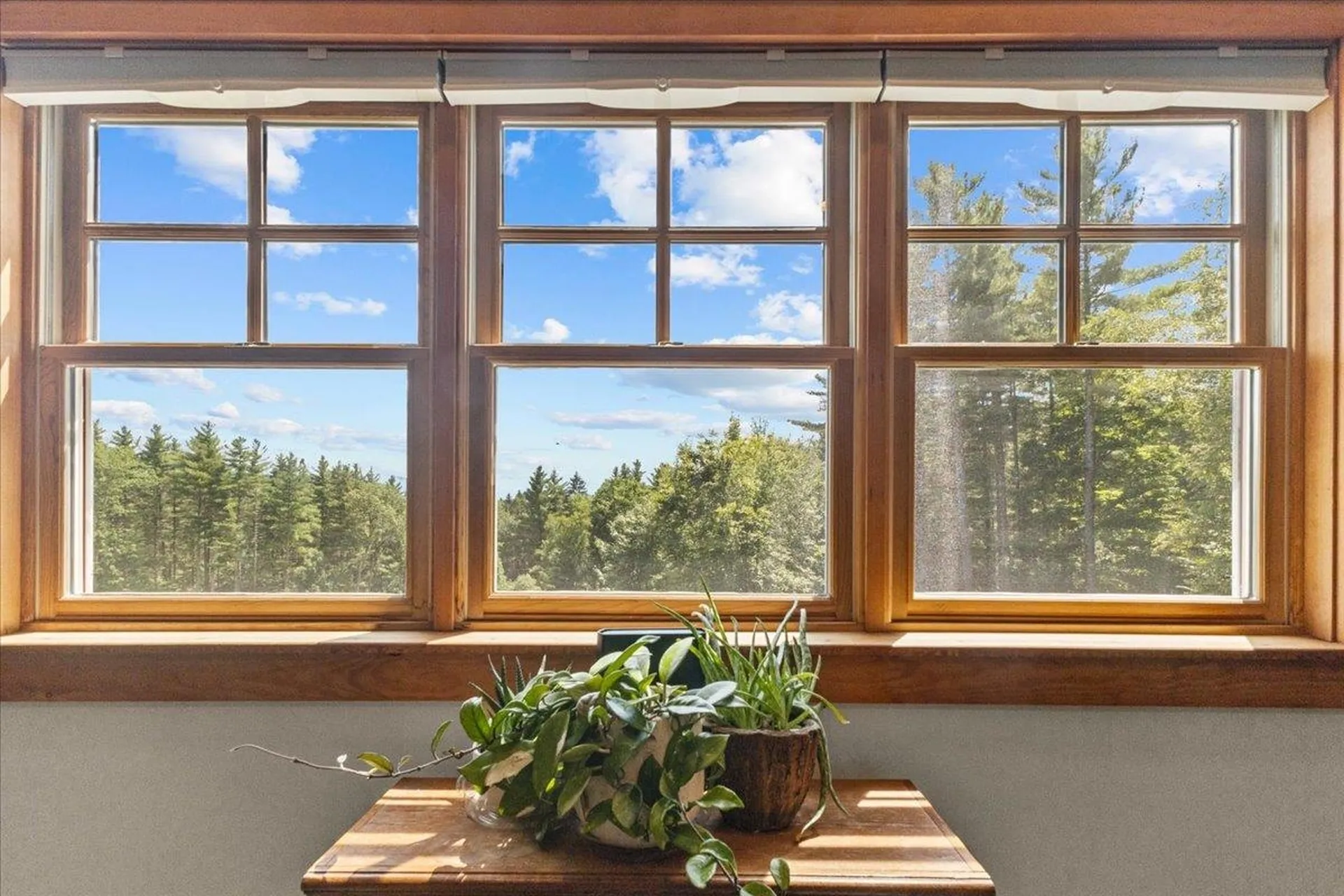 240 Webster Road Duxbury VT 05660