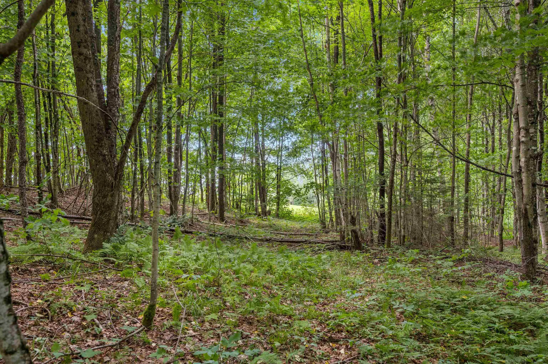 601 Greenbanks Hollow Road Danville VT 05828