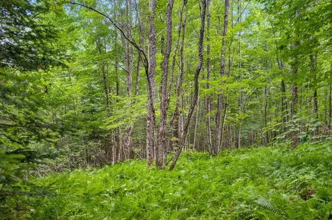 601 Greenbanks Hollow Road Danville VT 05828