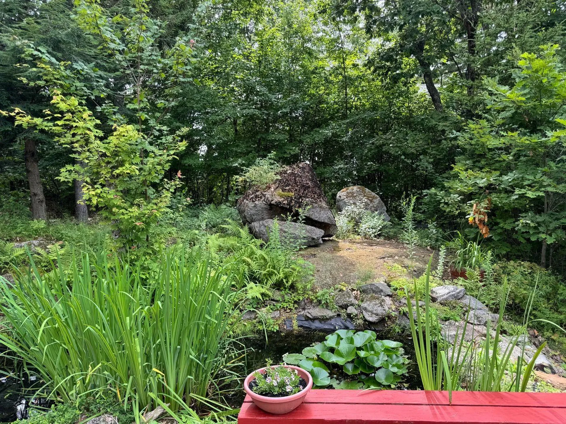 906 Shedd Hill Road Stoddard NH 03464