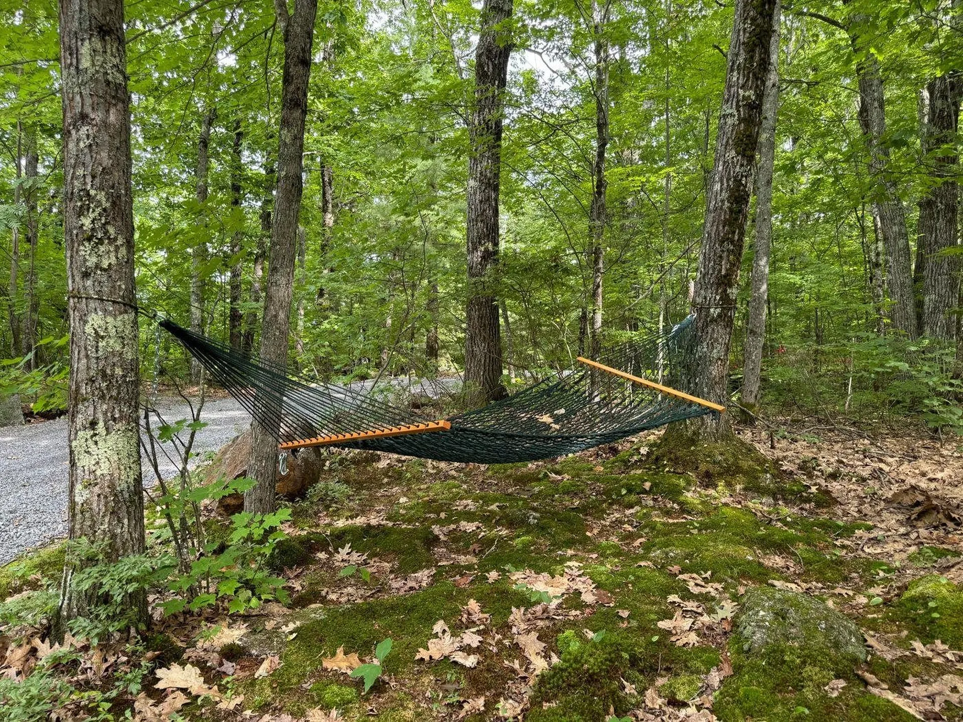 906 Shedd Hill Road Stoddard NH 03464