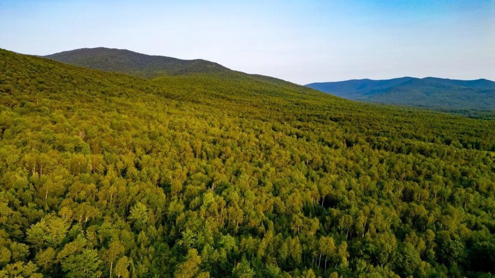 Lot 8 Rae Road Northumberland NH 03582