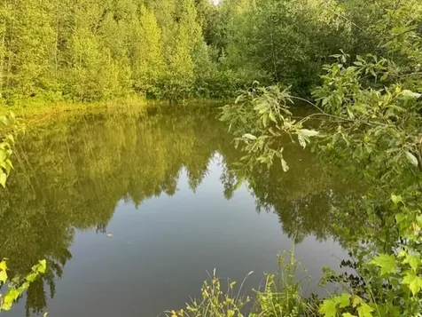 4500 West Hill Road Montgomery VT 05470