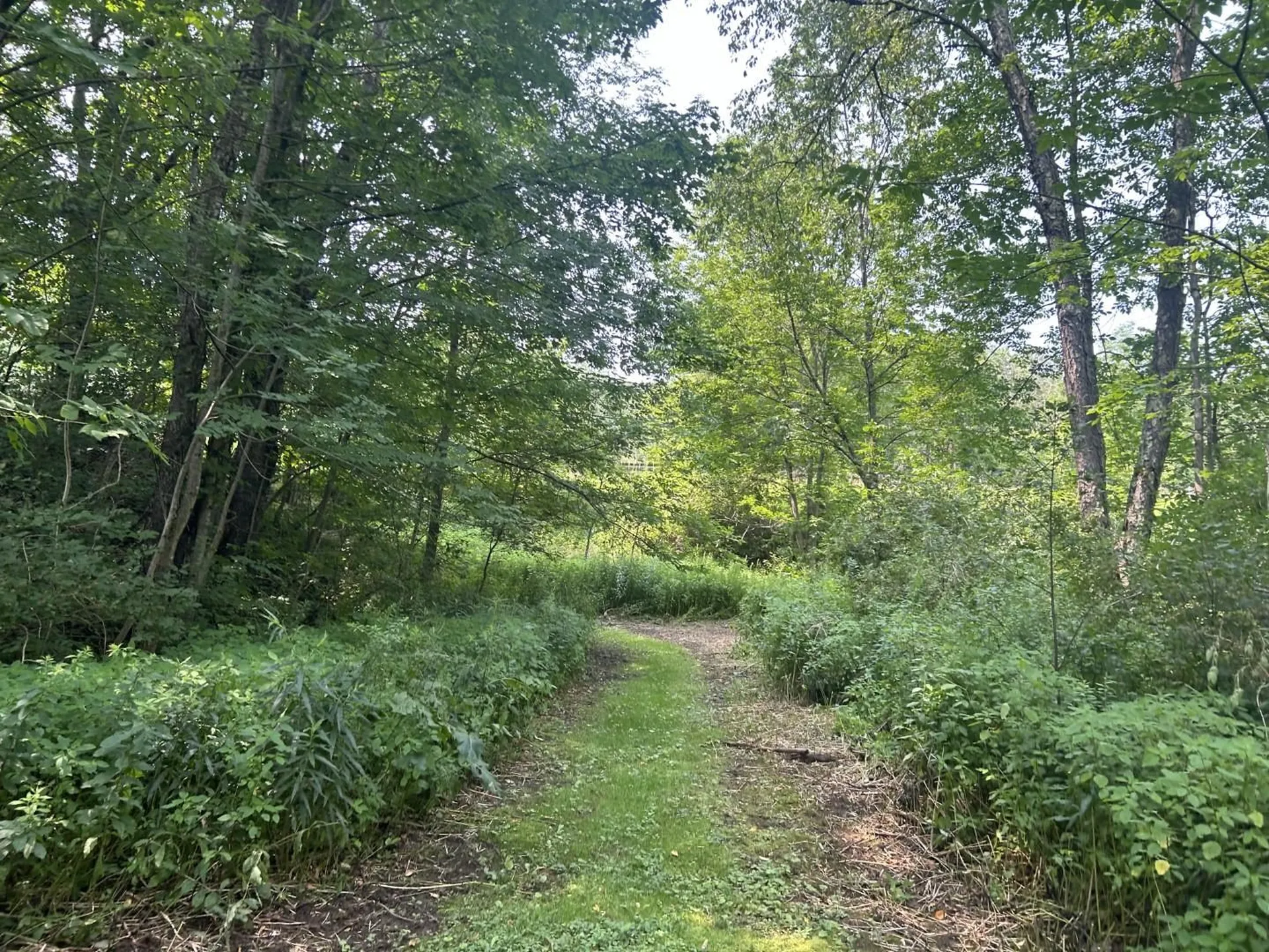 618 Vt Route 15 Underhill VT 05489