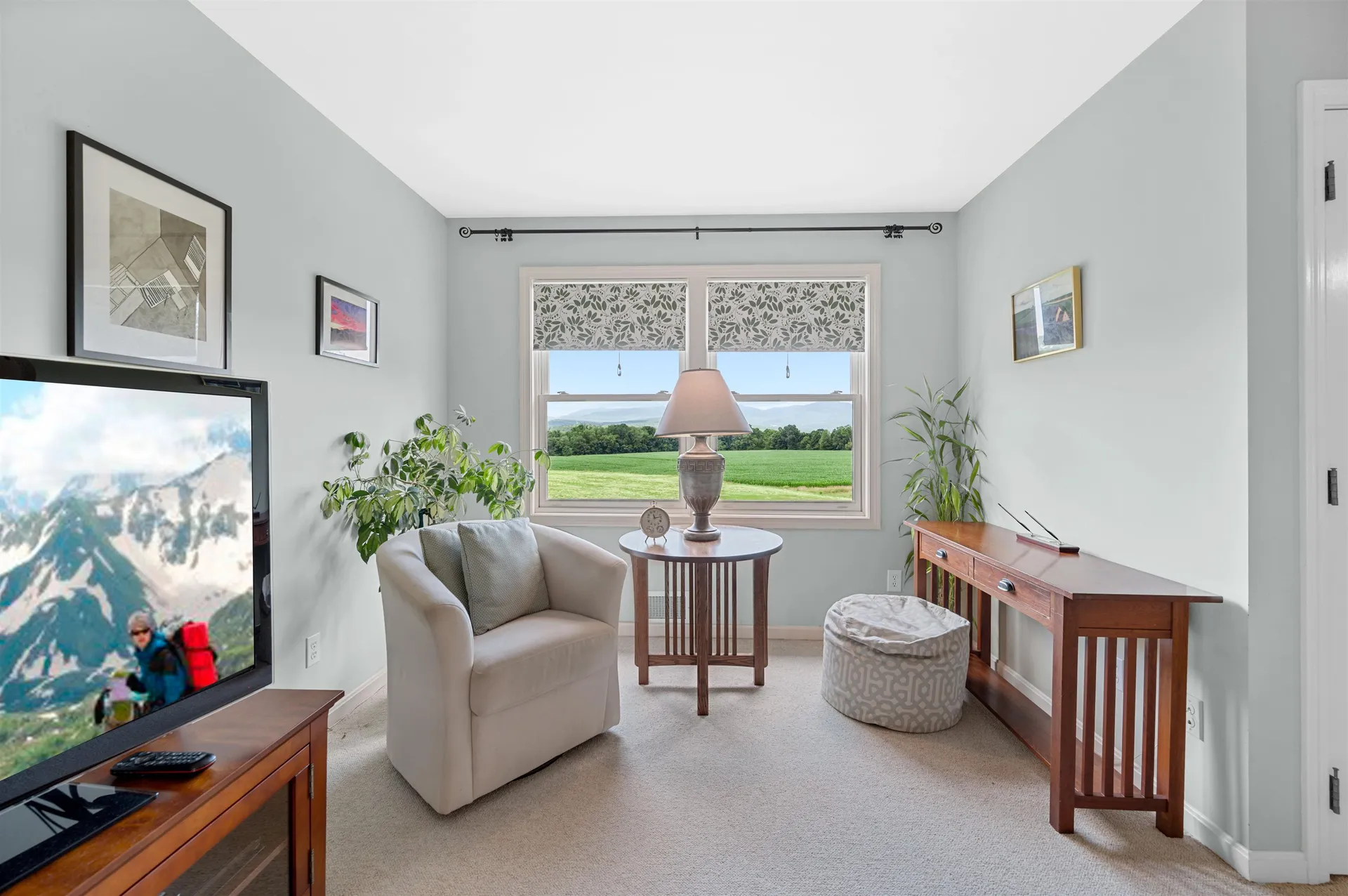 562 Lower Elmore Mountain Road Morristown VT 05661