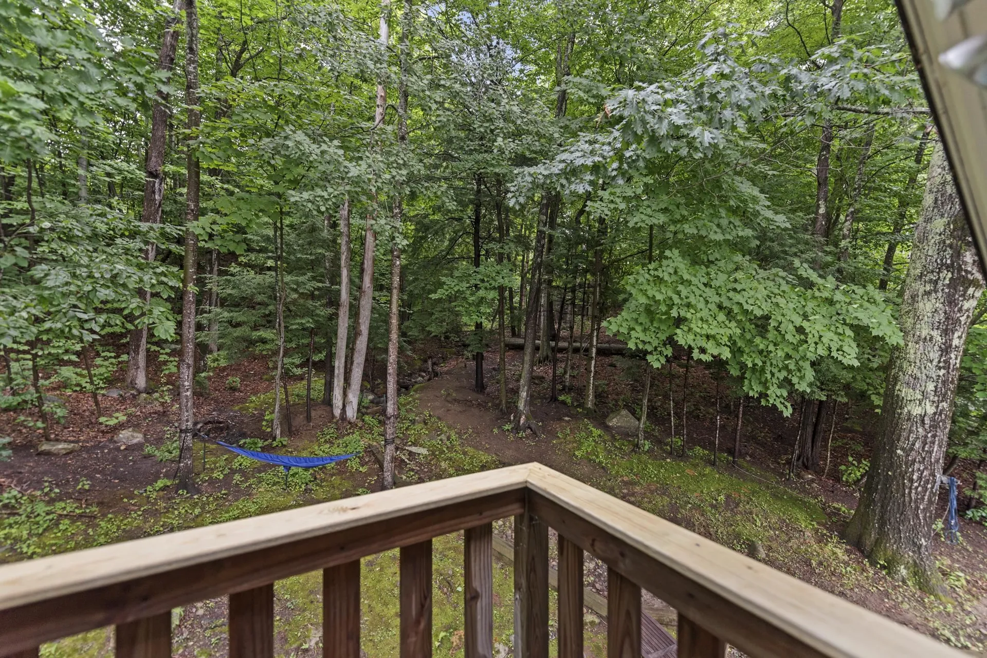 1650 Lake Street Bristol NH 03222