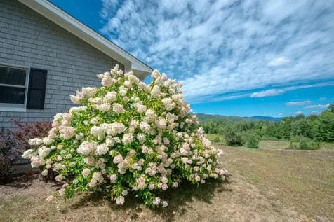 2371 Nh Route 175 Thornton NH 03285