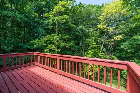 271 Nottingham Park Manchester VT 05255