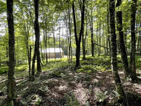 00 Old Farm Road Burke VT 05871