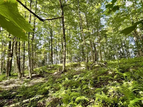 00 Old Farm Road Burke VT 05871