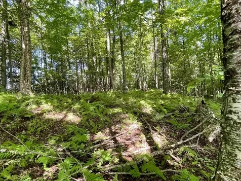 00 Old Farm Road Burke VT 05871