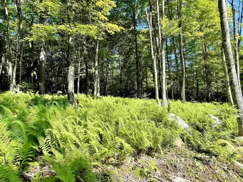 00 Old Farm Road Burke VT 05871