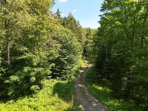 00 Old Farm Road Burke VT 05871