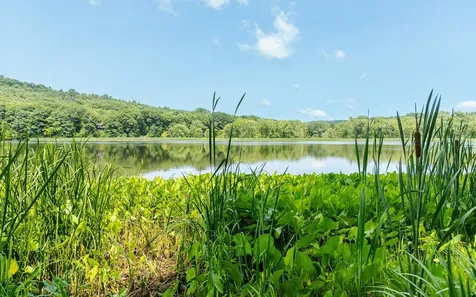 Norman Avenue Charlestown NH 03603