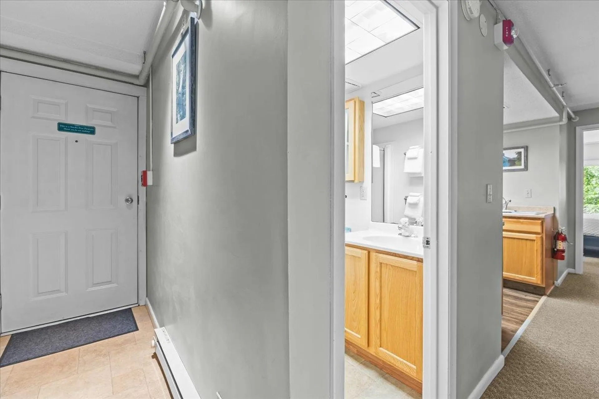 220 Mountainside Drive Stowe VT 05672