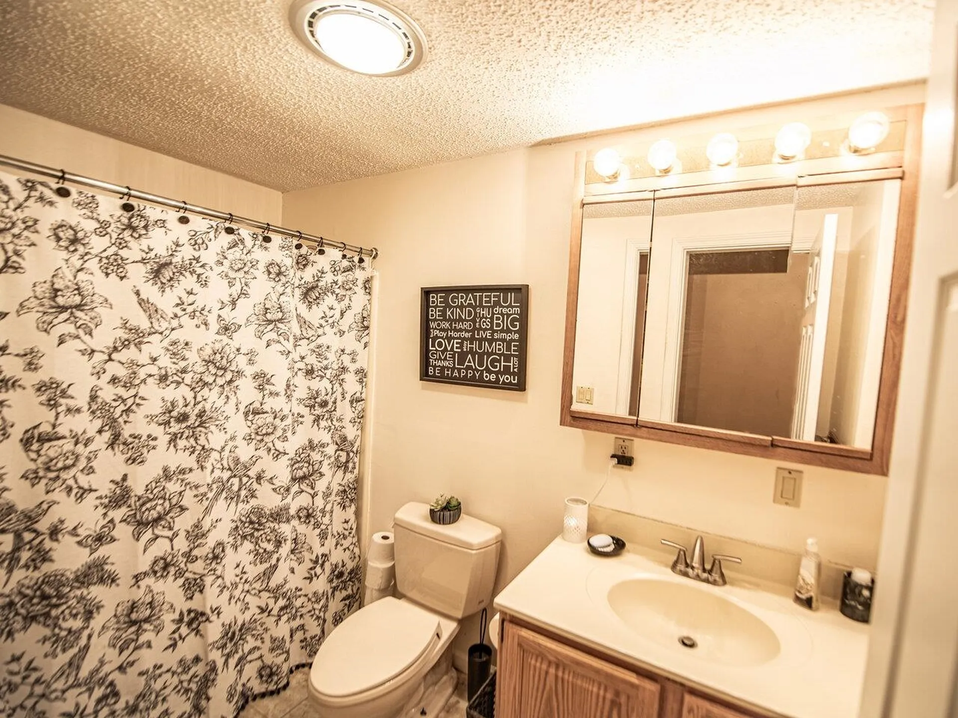 117 Colton Place Williston VT 05495