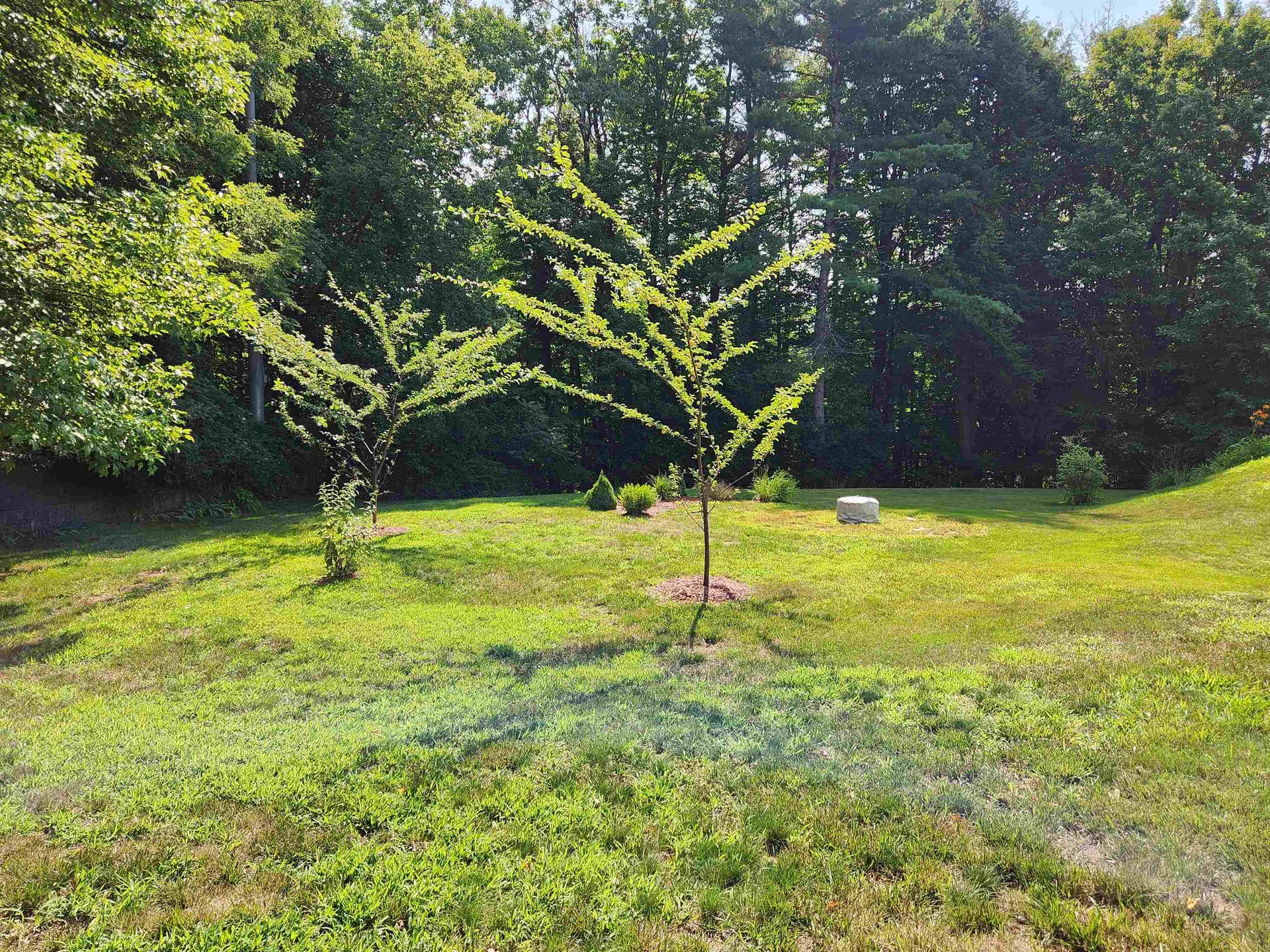 103 Ledgewood Road Claremont NH 03743