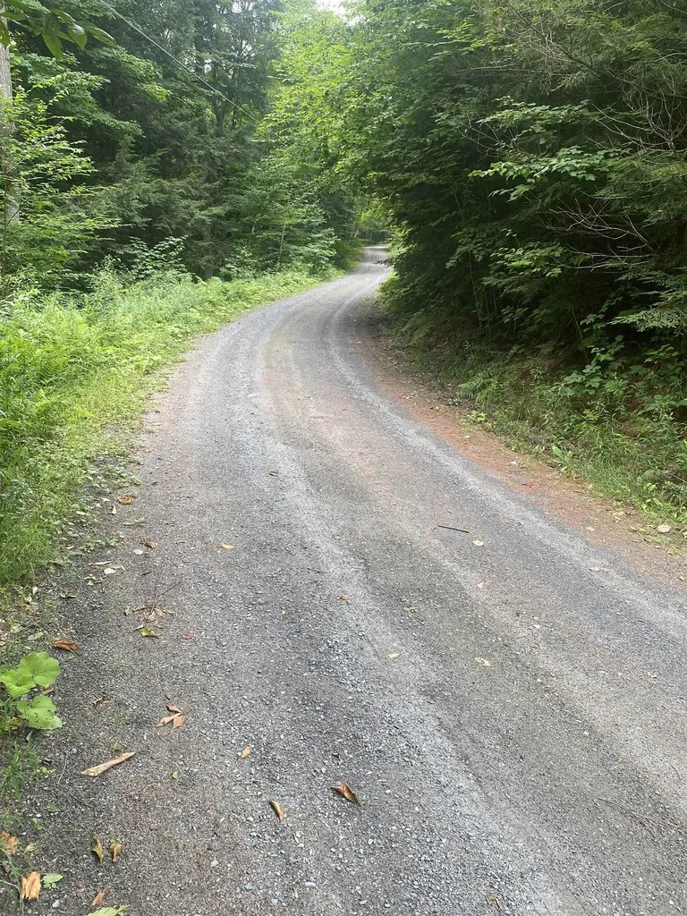 110 Shady Grove Lane Chester VT 05143