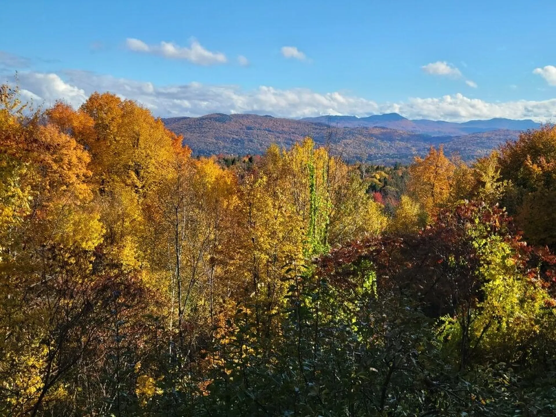 71 Pinnacle Point Waterbury VT 05676