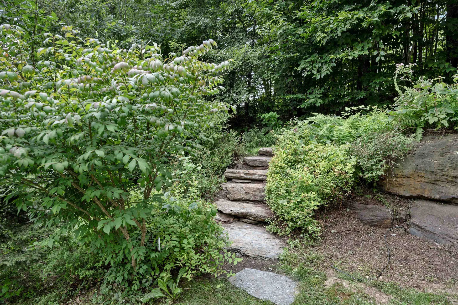 71 Pinnacle Point Waterbury VT 05676