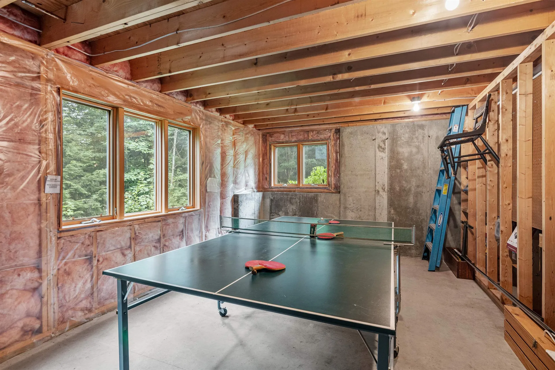 315 Black Bear Run Stowe VT 05672