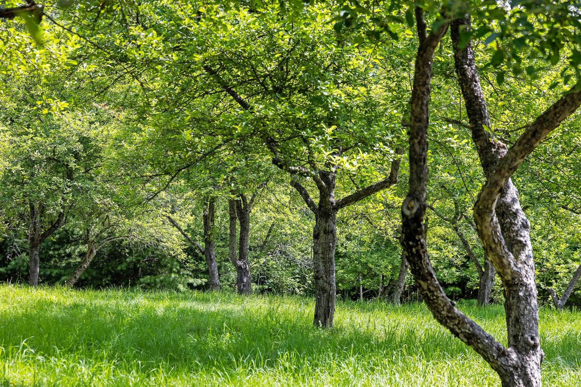 42 Brookside Drive Grantham NH 03753