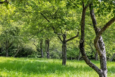 42 Brookside Drive Grantham NH 03753