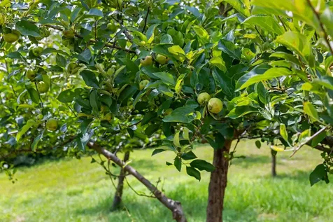 42 Brookside Drive Grantham NH 03753