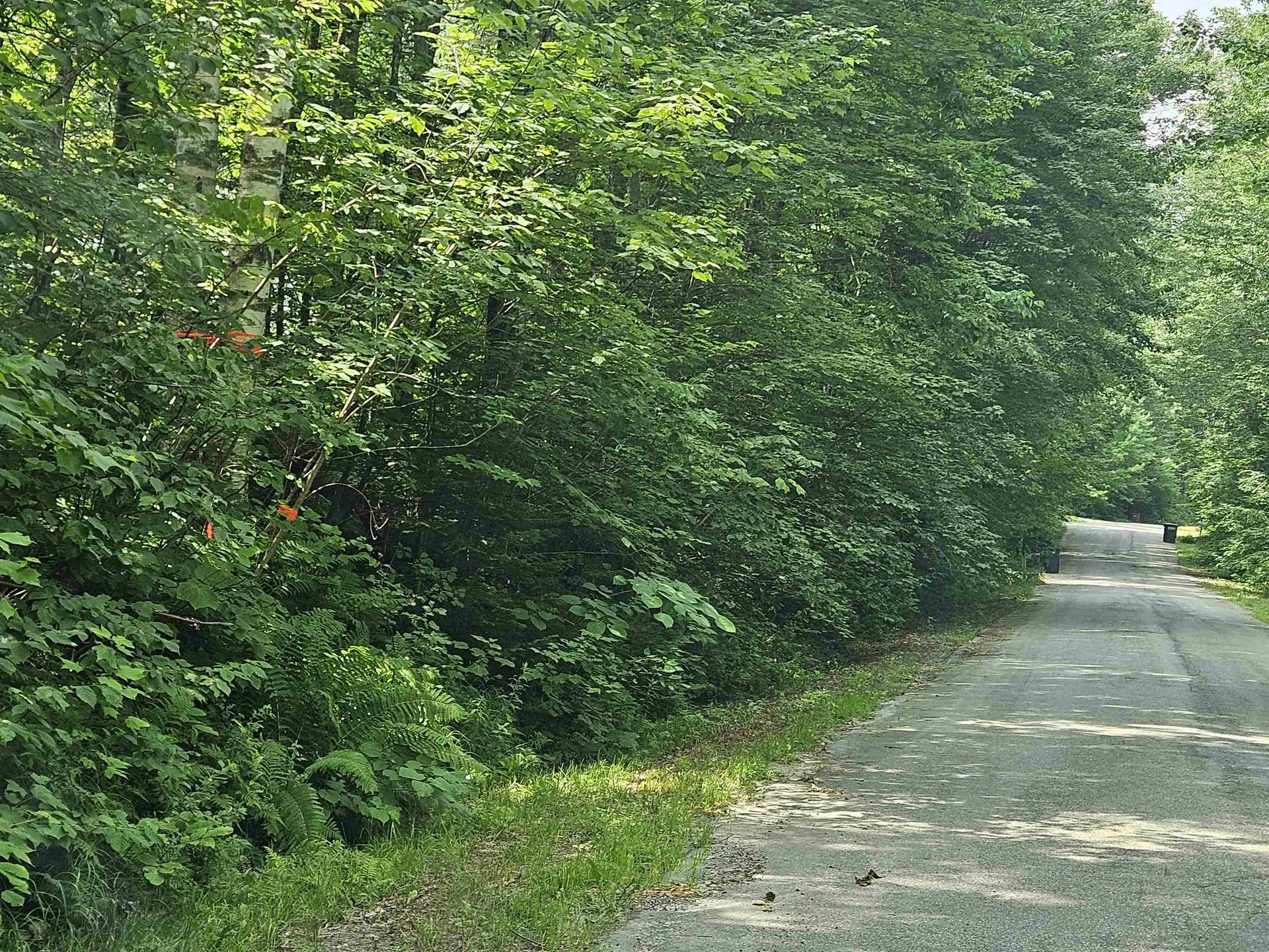 Lot 6 Mount Cleveland Road Bethlehem NH 03574